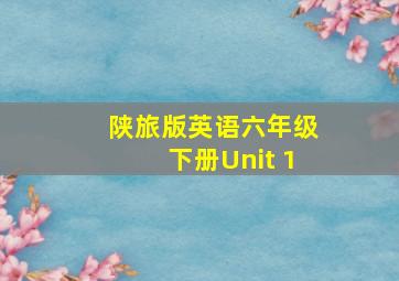 陕旅版英语六年级下册Unit 1